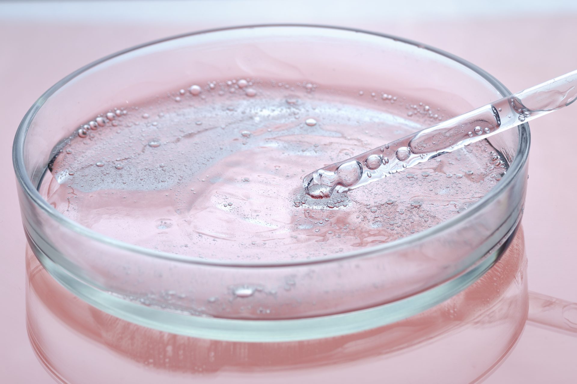 Glass Petri dish of clear bubbly gel with a pipette resting in it on a pink surface