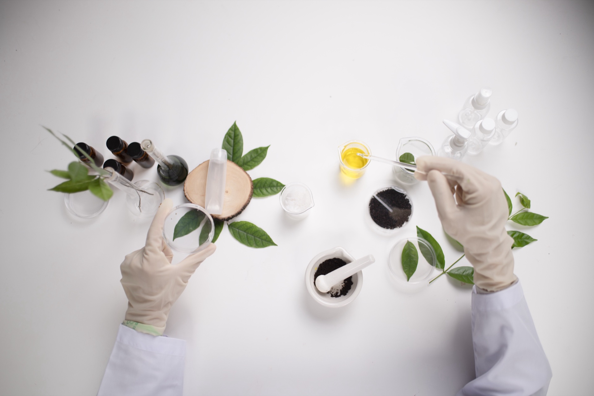 Gloved hands arranging green leaves, powders, a mortar and small bottles on a white table